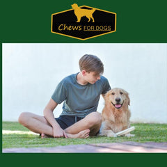 GOLDEN Chews free-range cattle roll emphasizes quality and natural texture for chewing satisfaction.