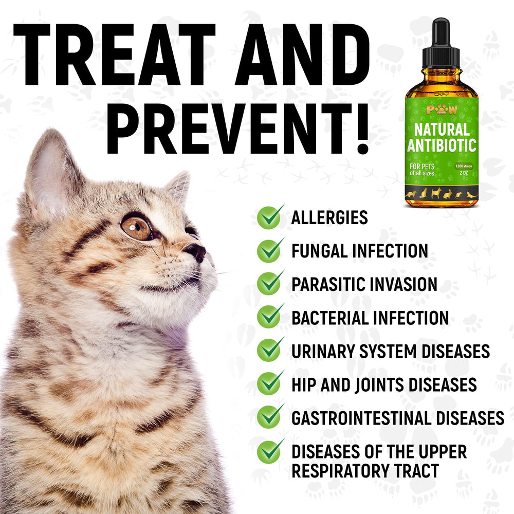Golden Paw drops promote coat and skin balance in dogs and cats.
