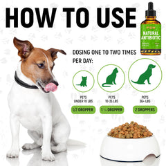 Golden Paw drops being added to meals for versatile dosing with pets.