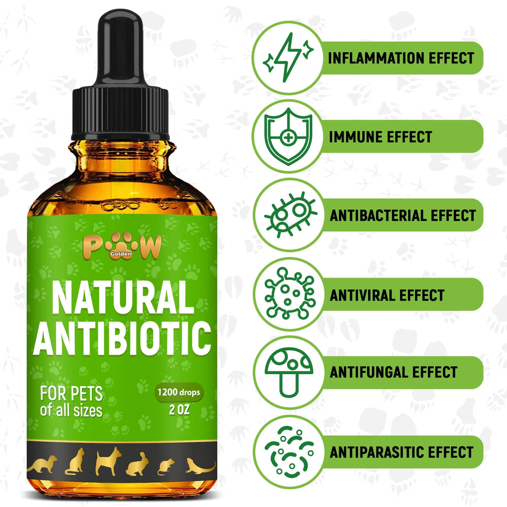 Golden Paw antibiotic drops measuring dropper for accurate dosing.