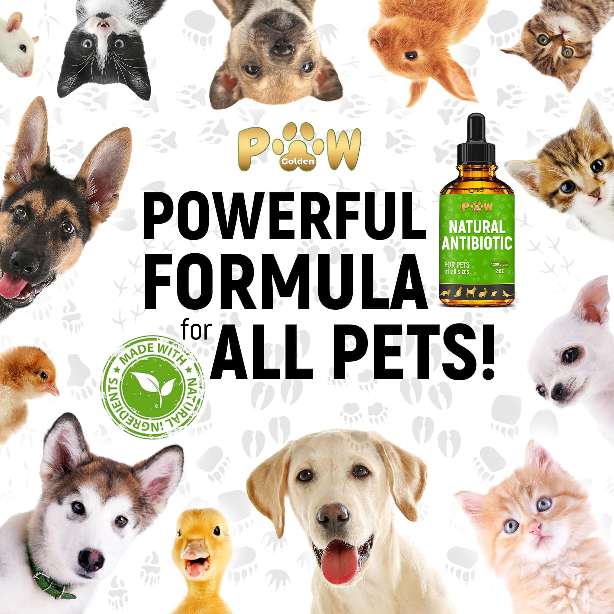 Golden Paw packaging on shelf signaling natural pet care.