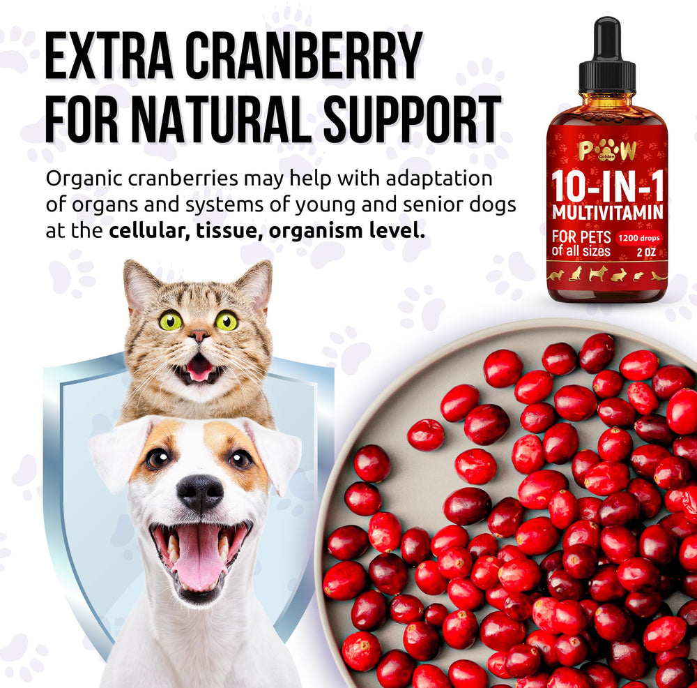 Golden Paw cat vitamin drops ready to mix into meals for all ages.