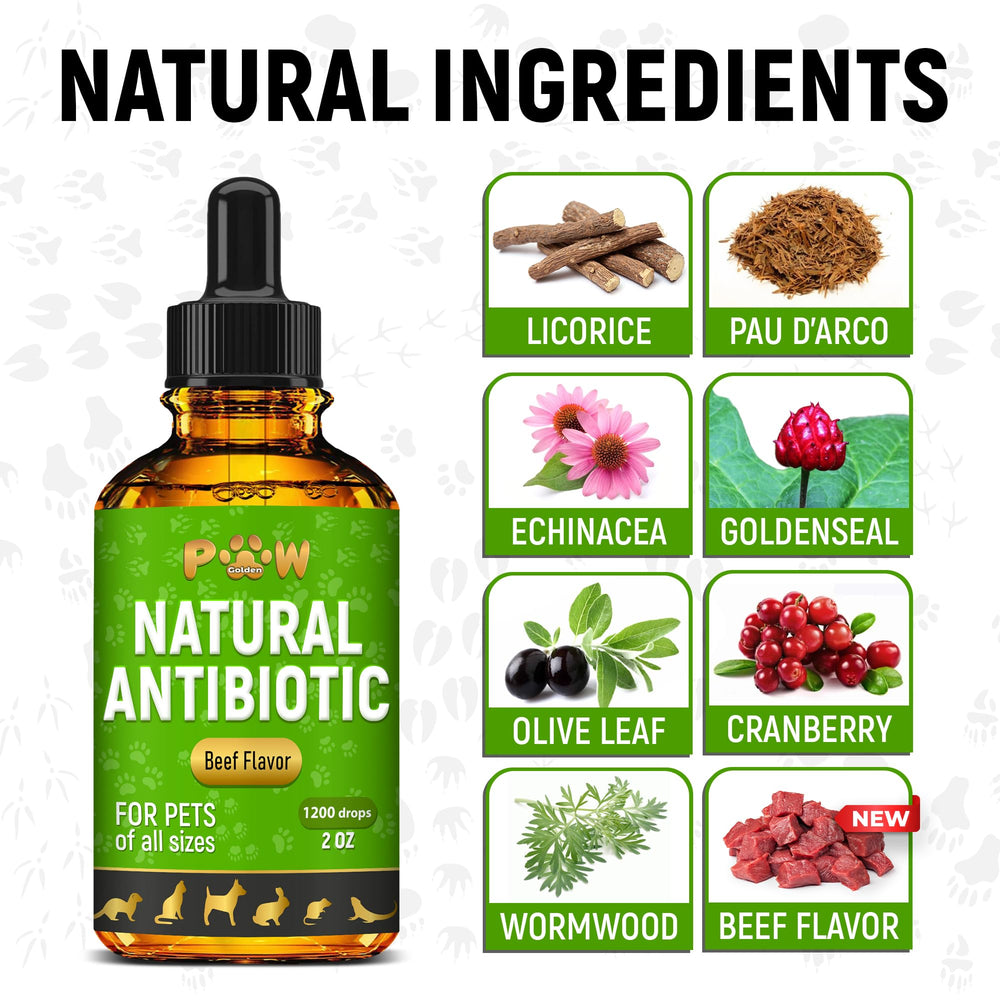 Golden Paw cranberry herbal ingredients support gentle daily wellness.