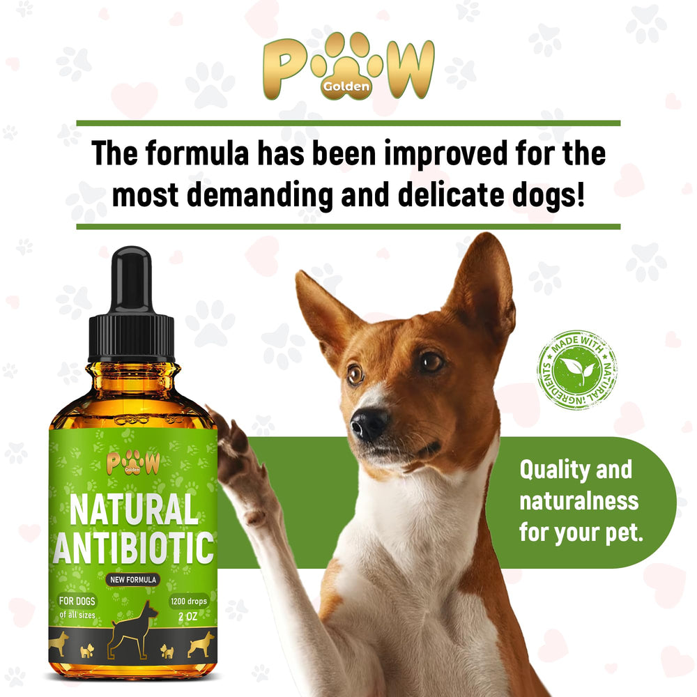 Golden Paw daily-use routine image demonstrates simple, convenient supplement integration.