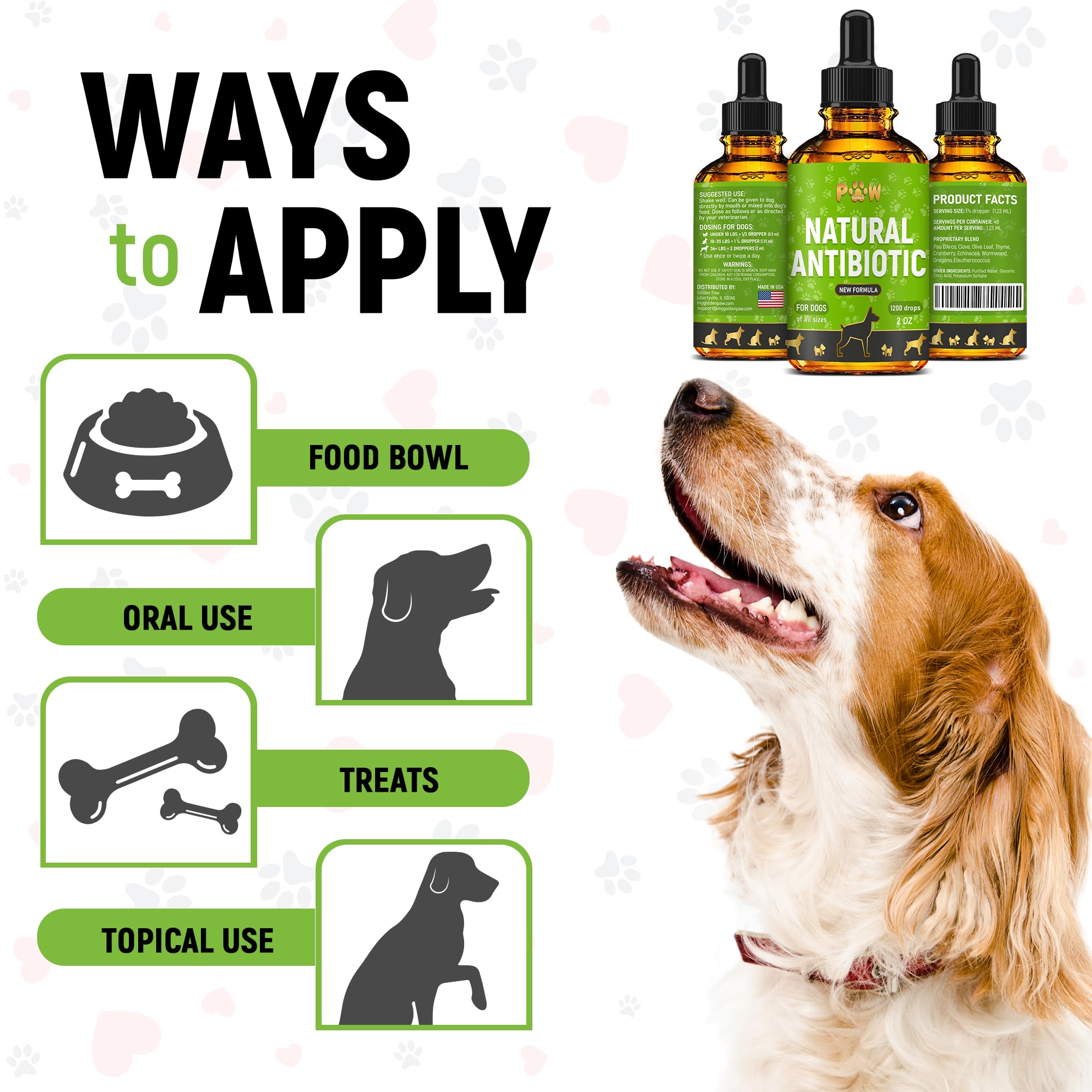 Golden Paw products shown with various dog breeds to illustrate size suitability.