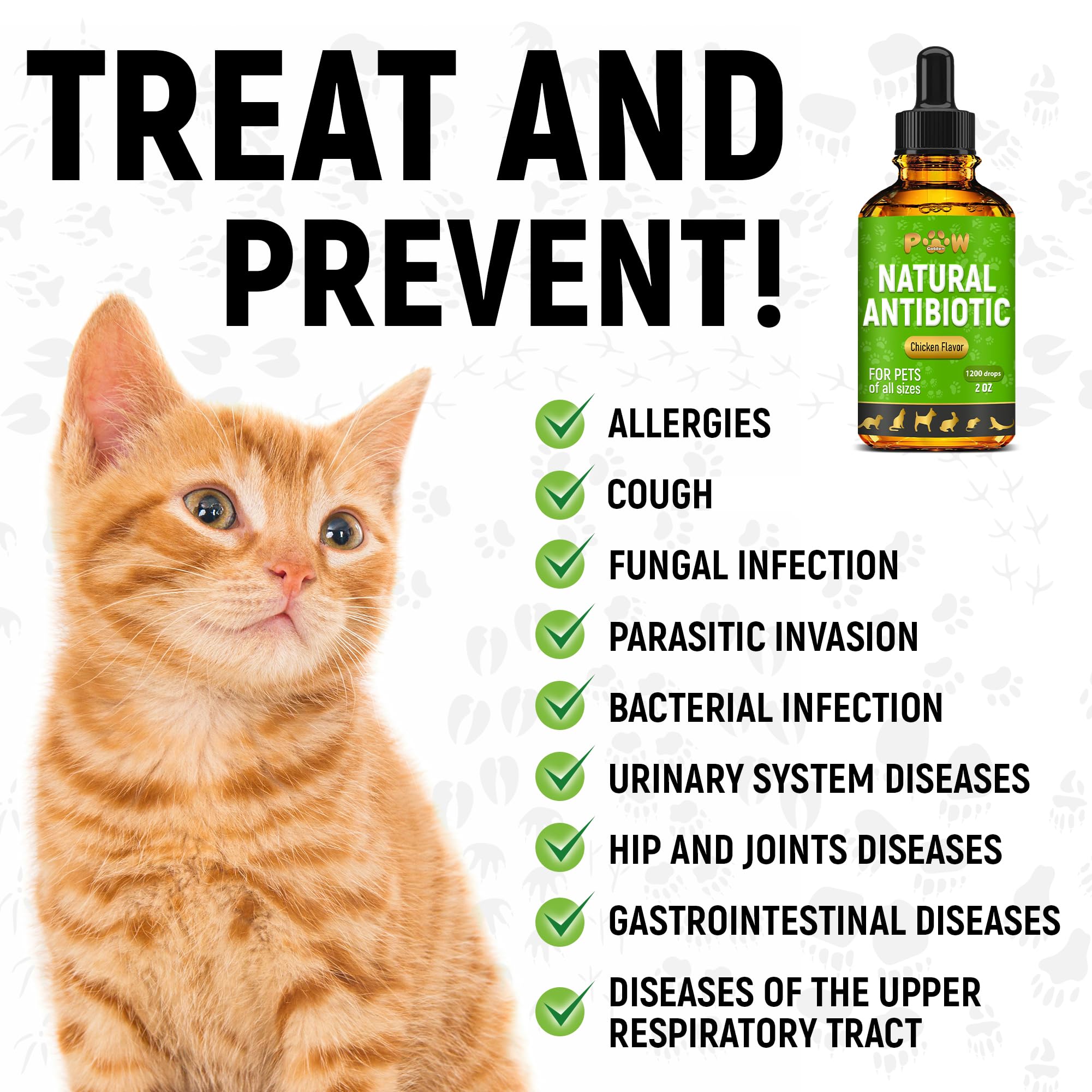 Golden Paw Herbal Antibiotics bottle with clear dosage directions.