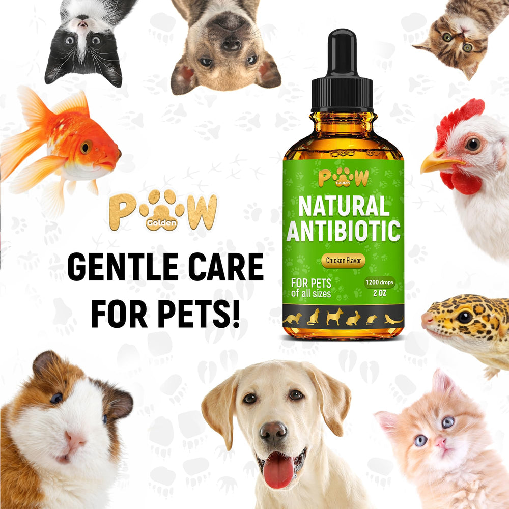 Golden Paw Herbal Antibiotics bottle close-up emphasizing user-friendly design.