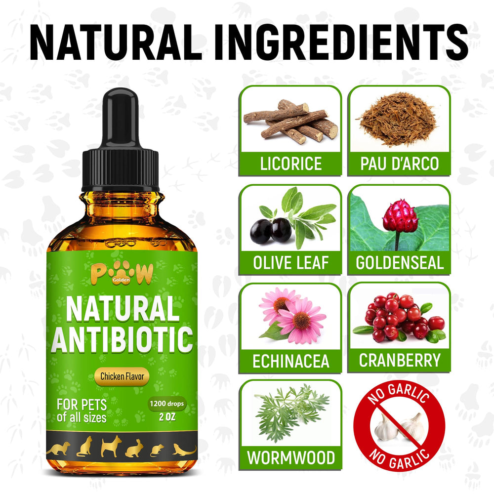 Golden Paw Herbal Antibiotics dropper dosing for small to large pets.