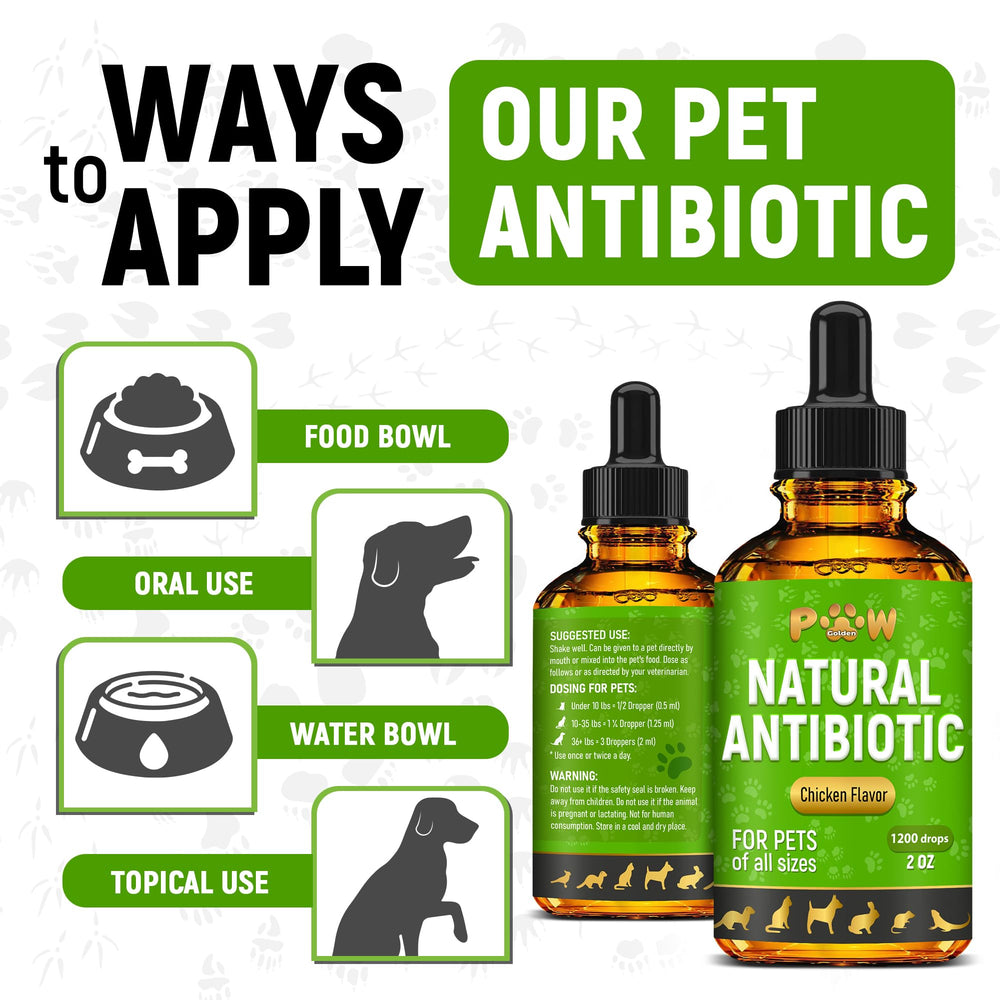 Golden Paw Herbal Antibiotics compact dropper for precise home dosing.