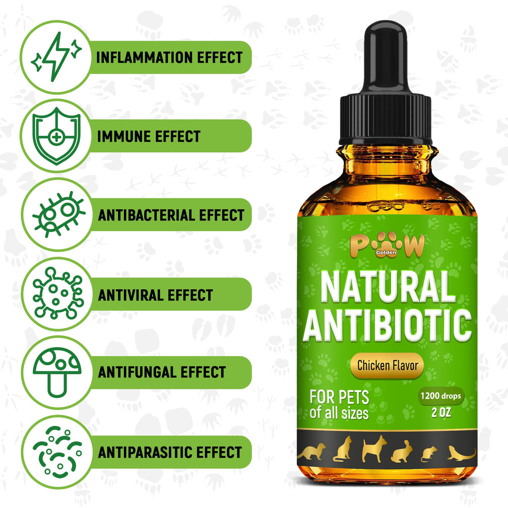 Golden Paw Herbal Antibiotics liquid dispensing shows simple administration.