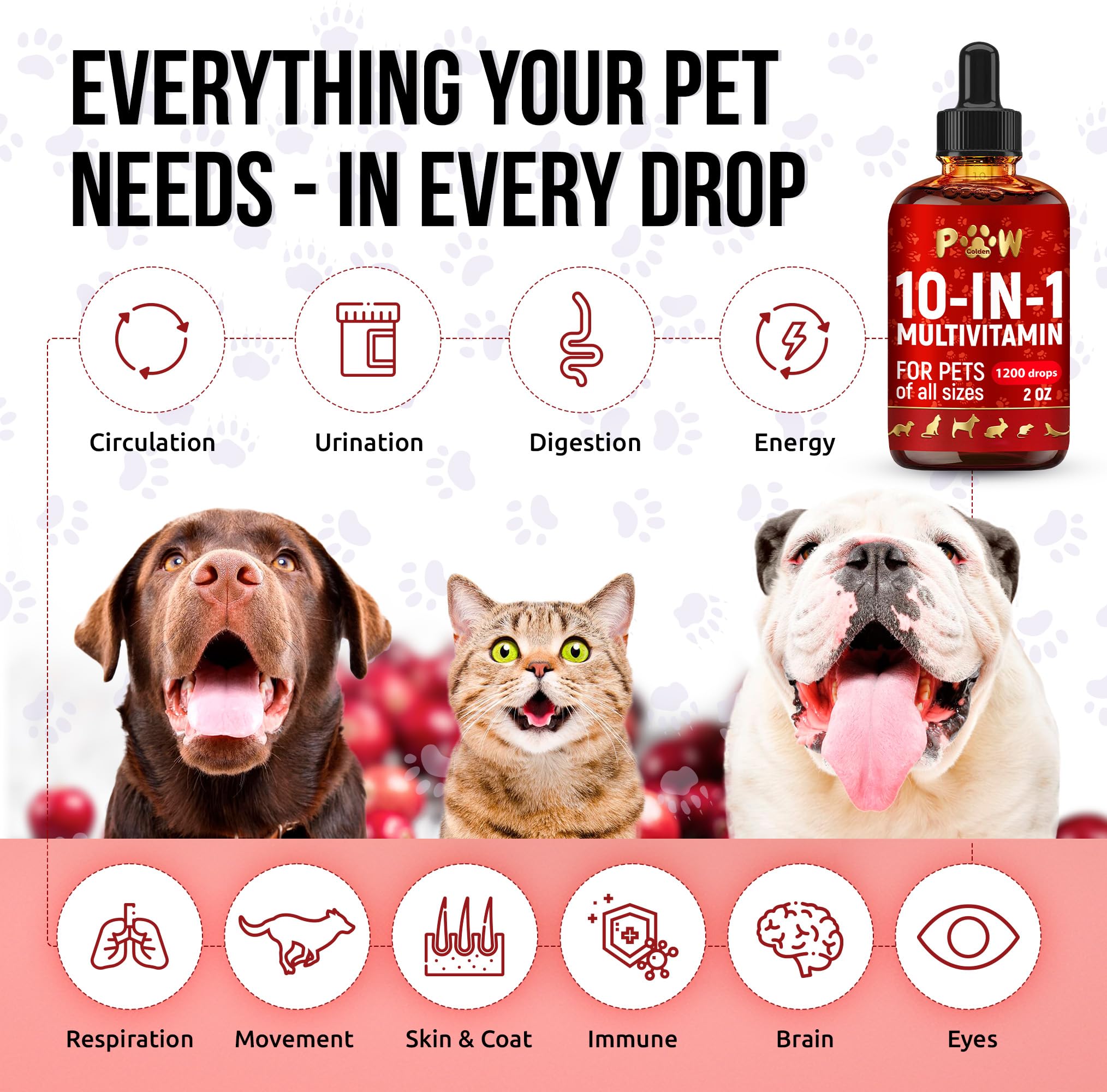 Golden Paw liquid multivitamin cat bottle label highlights 10-in-1 benefits.