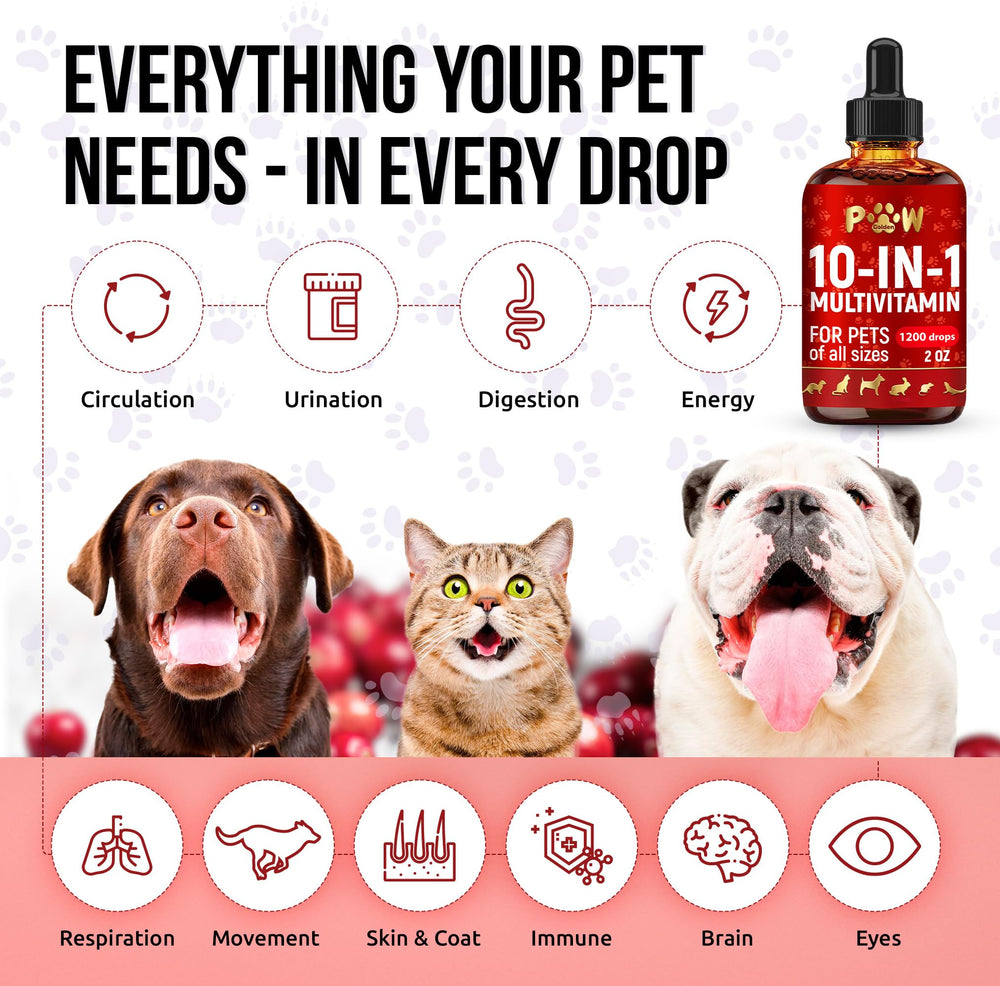 Golden Paw liquid multivitamin cat bottle label highlights 10-in-1 benefits.