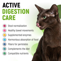 Golden Paw probiotics for dogs and cats being poured emphasizes convenient administration.