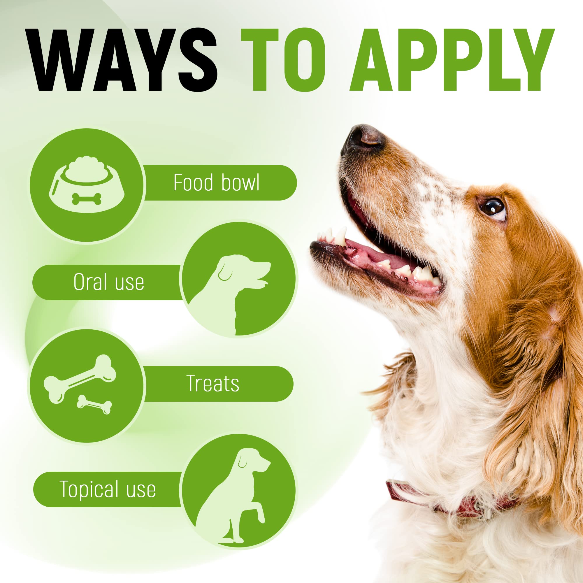 Golden Paw probiotics five strains blend shows comprehensive digestive support.