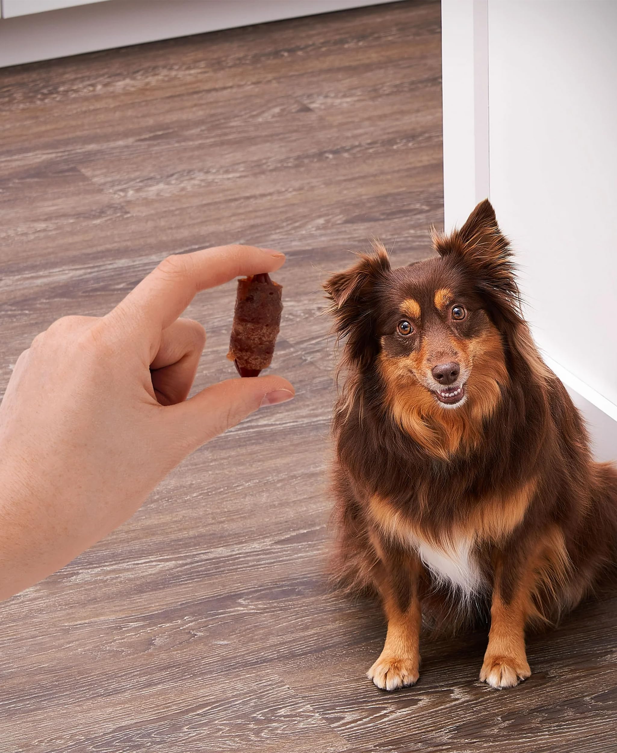 Golden Rewards real chicken and pork flavor close-up highlights protein-rich snacking