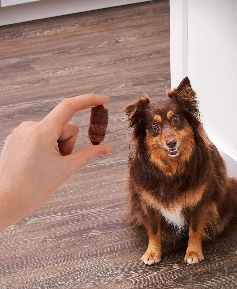 Golden Rewards real chicken and pork flavor close-up highlights protein-rich snacking