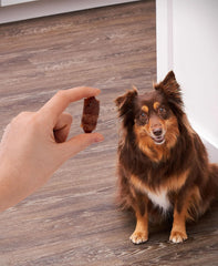 Golden Rewards real chicken and pork flavor close-up highlights protein-rich snacking