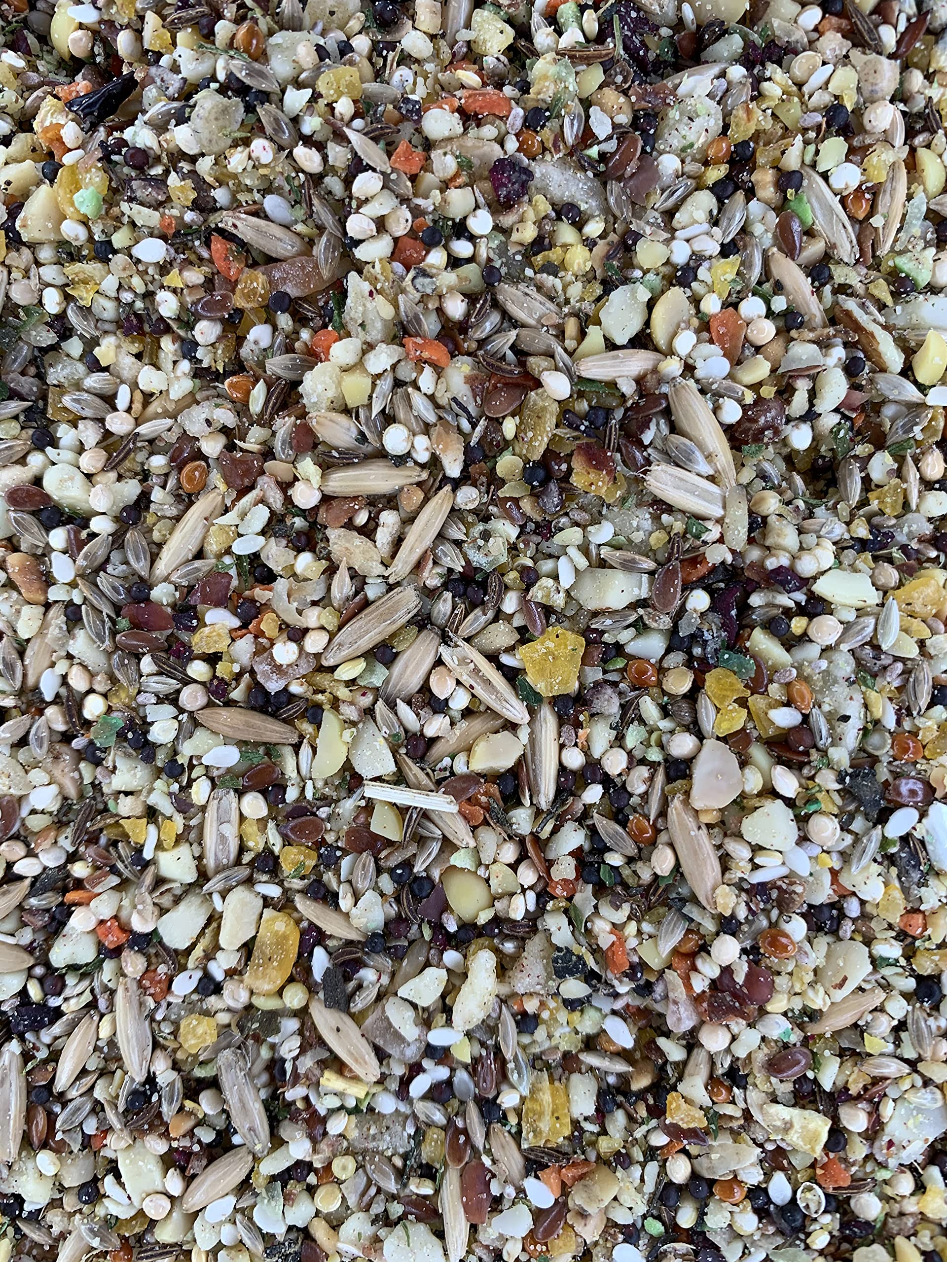 Goldenfeast VL Patagonian Blend bag shown with natural ingredients for enrichment and variety