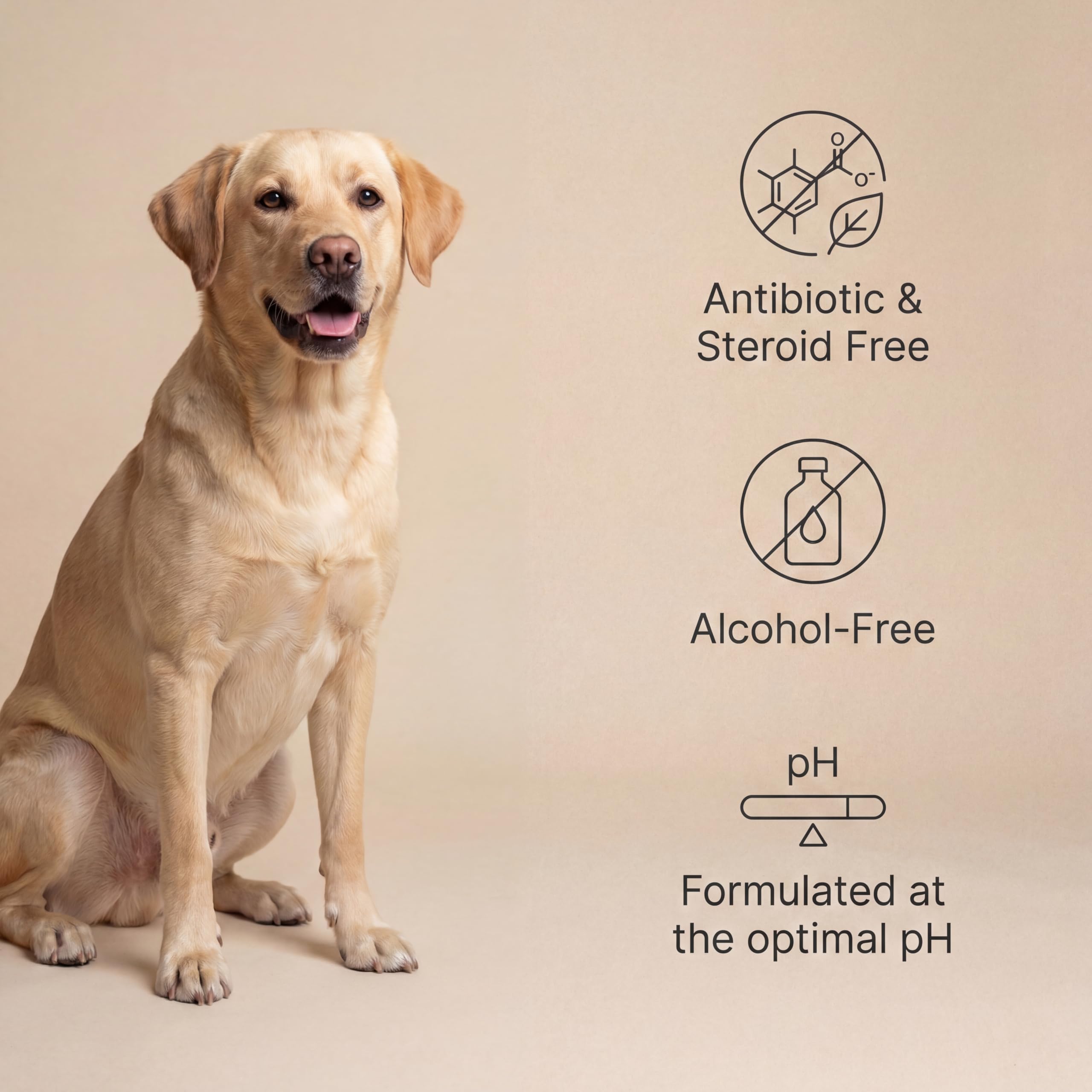 Goldie Dog Essentials Miracle Mist hot spot application for irritated skin
