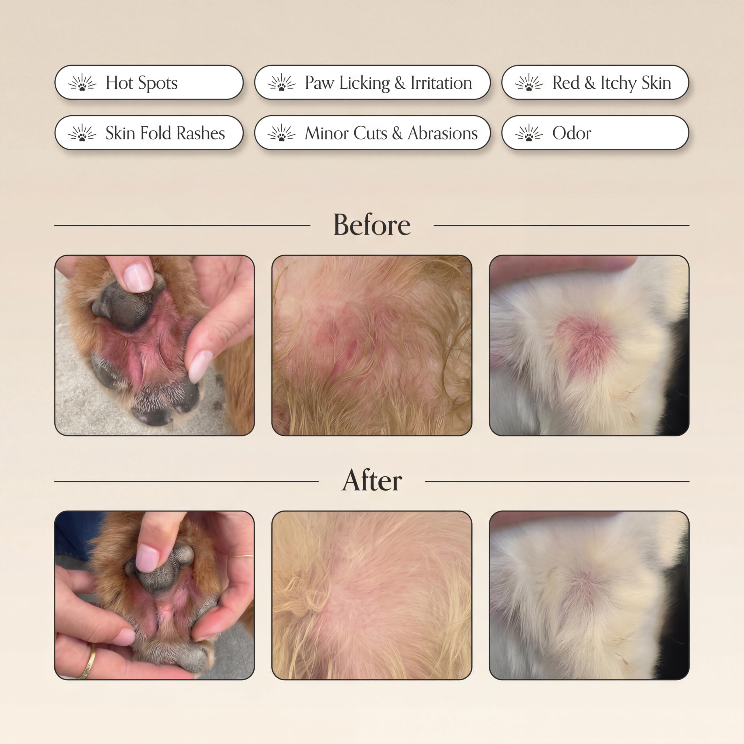 Goldie Dog Essentials Miracle Mist being used safely if licked