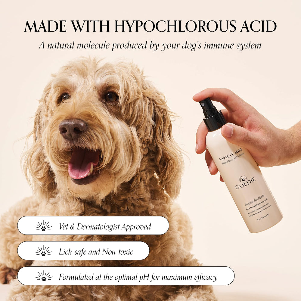 Goldie Dog Essentials Miracle Mist on a paw for soothing care