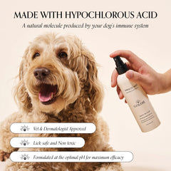 Goldie Dog Essentials Miracle Mist on a paw for soothing care