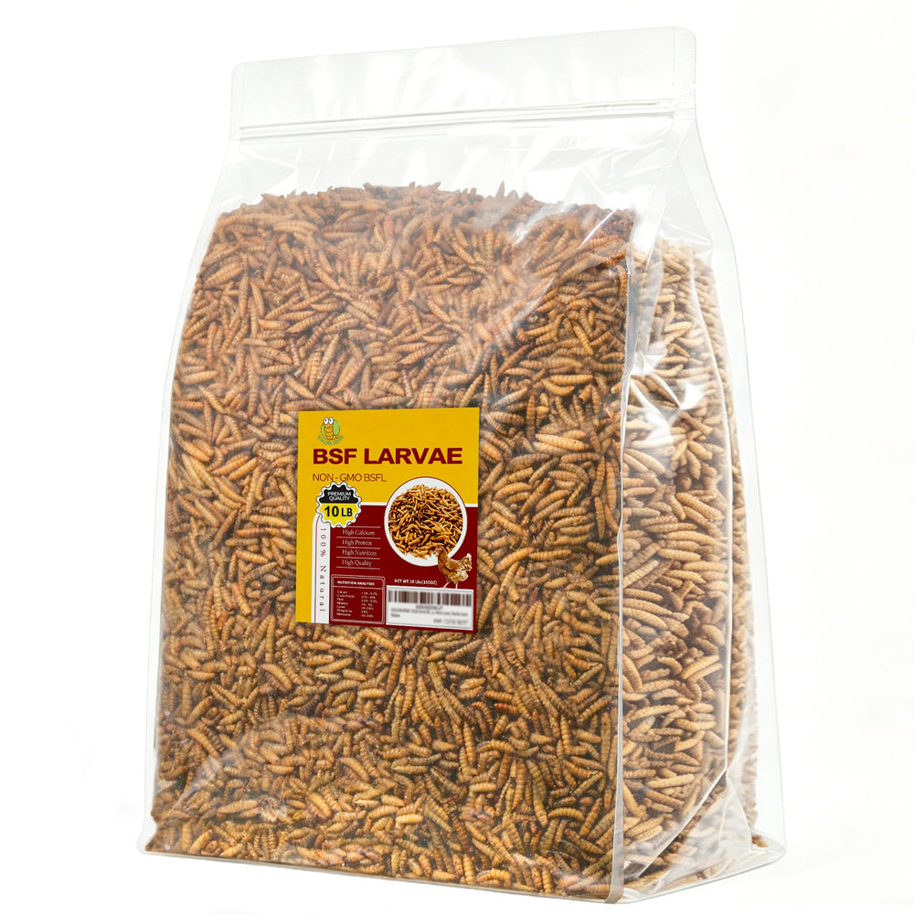 GOLDWORMS BSF larvae dried bag shows a protein-rich poultry treat