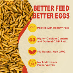 GOLDWORMS foraging-birds snack encourages natural foraging behavior