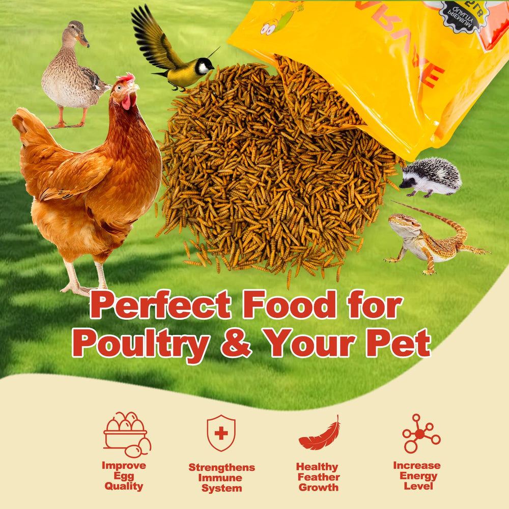 GOLDWORMS storage-drying-process image demonstrates easy storage and freshness