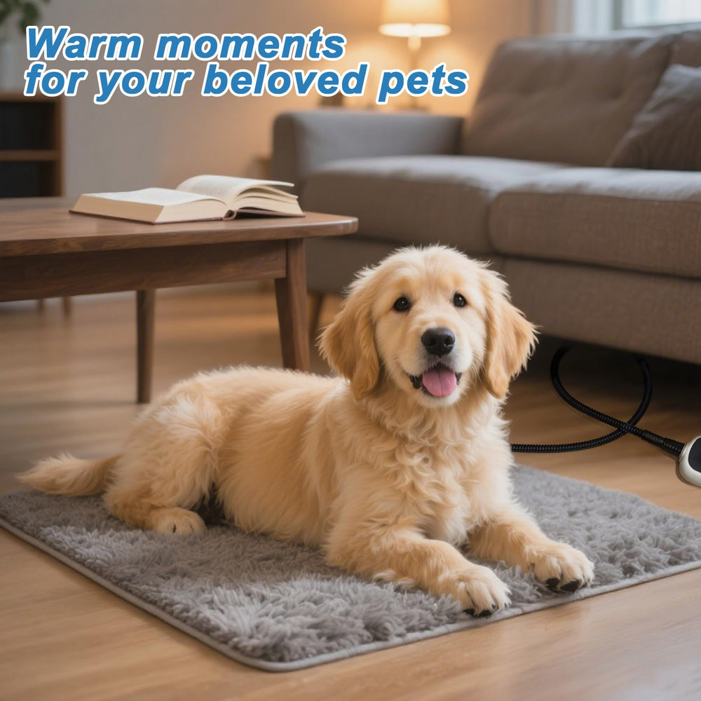 GOLOPET warranty and support offer after-sales assistance.