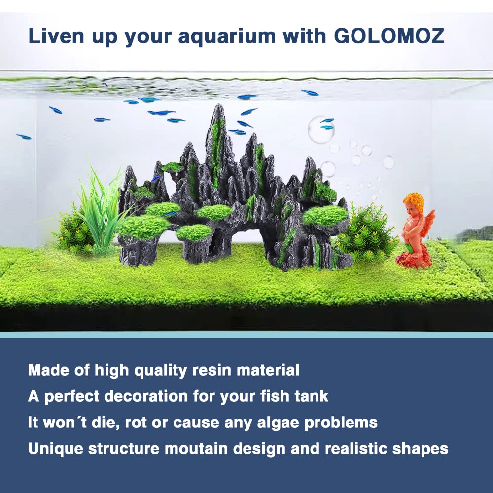 GOLOMOZ rock cave invites fish to explore around peaks