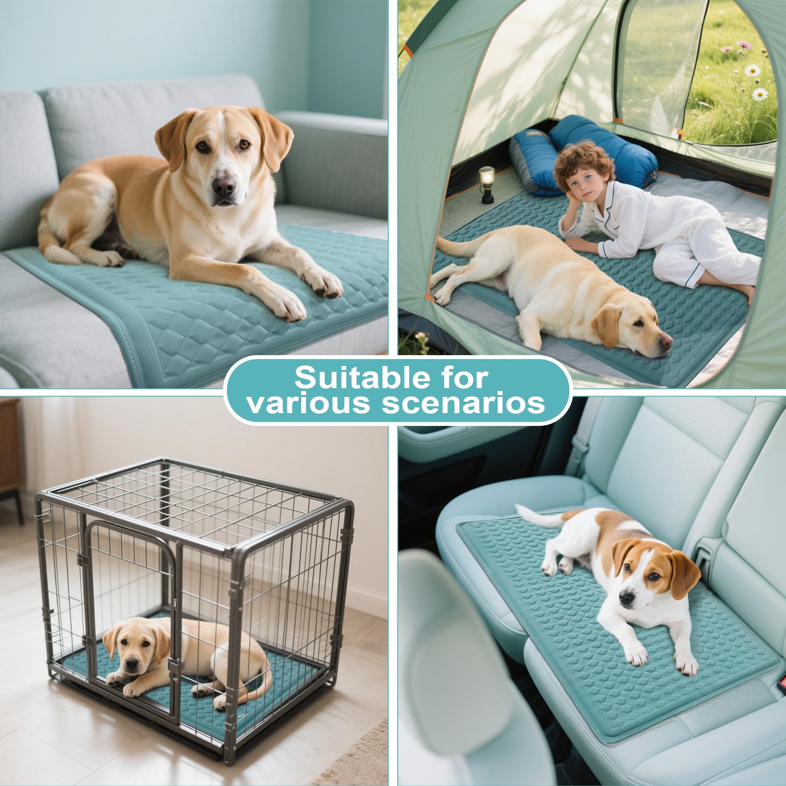 GOLOPET easy-clean surface can be wiped down after adventures