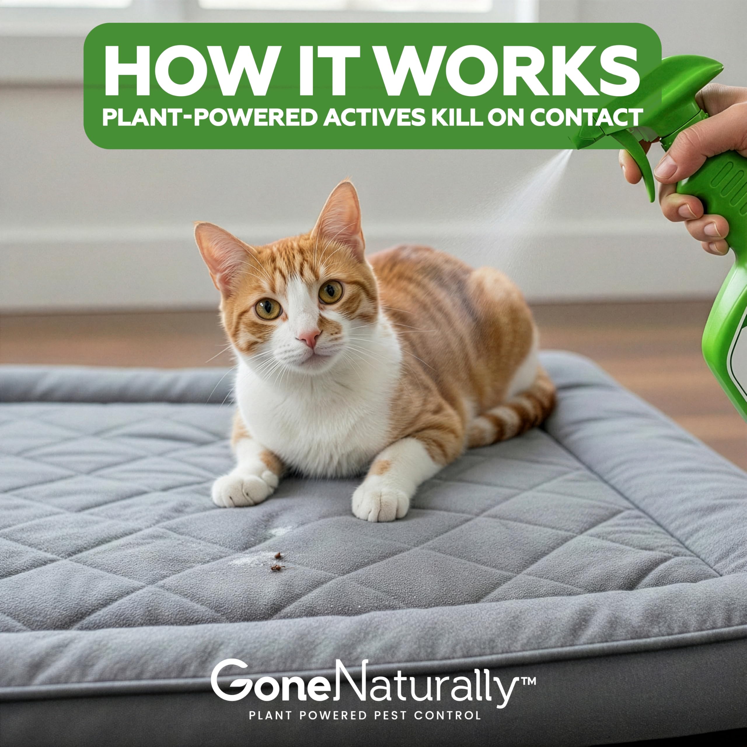 GoneNaturally bedding and crate spray for pet bedding and resting areas
