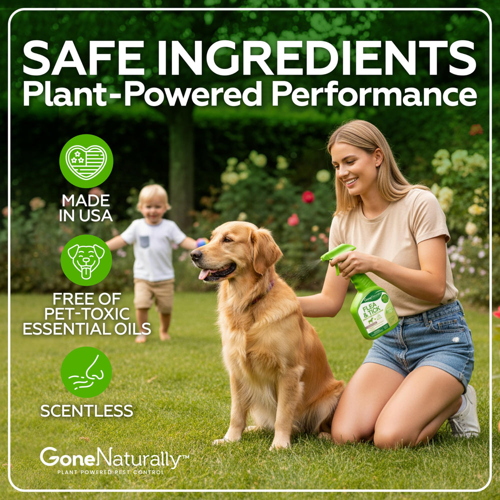 GoneNaturally bed-bedding spray used on pet bedding to reduce reinfestation risk.