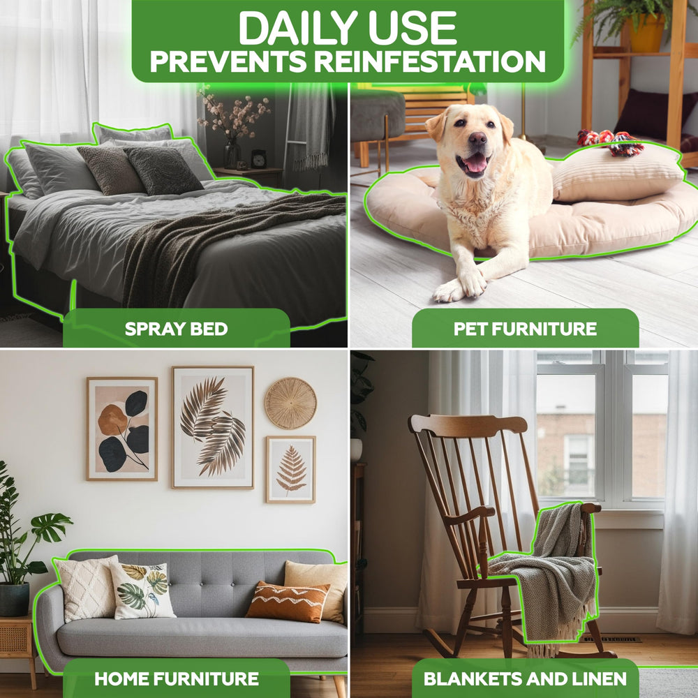 GoneNaturally plant-based scentless formula, safe for regular pet and home use.