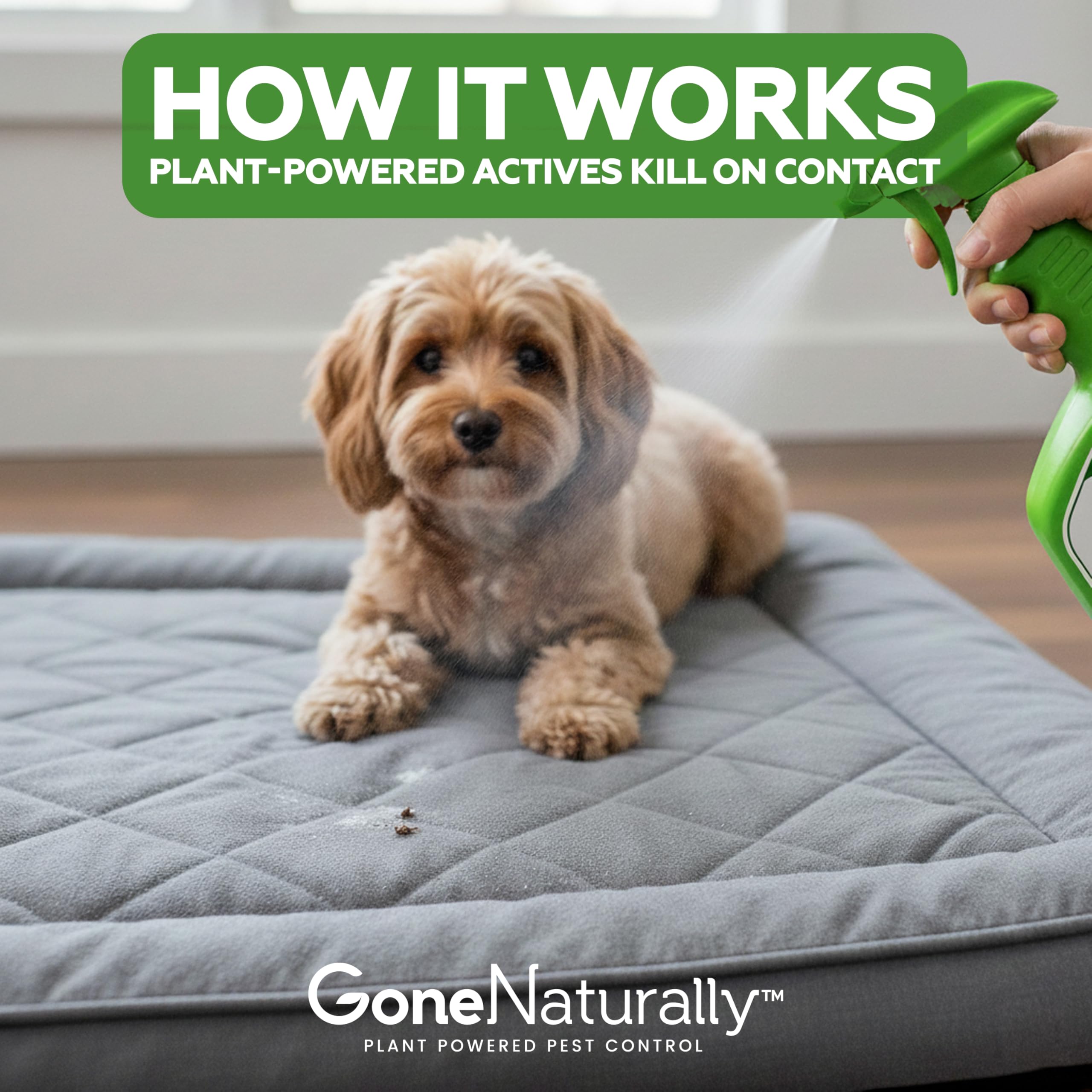 GoneNaturally USA-made pest protection for families seeking natural control.