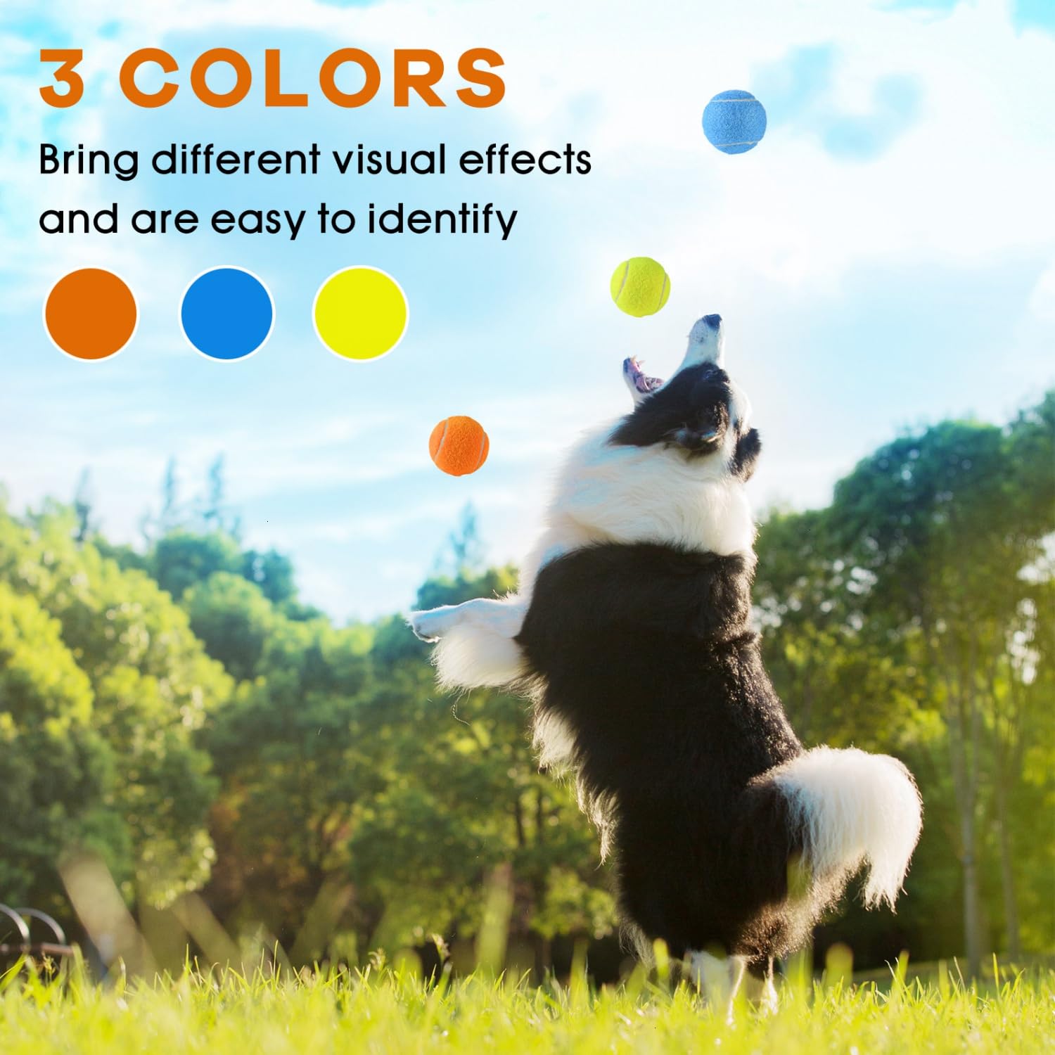 Gonioa 2.5-inch ball’s bounce supports engaging fetch sessions