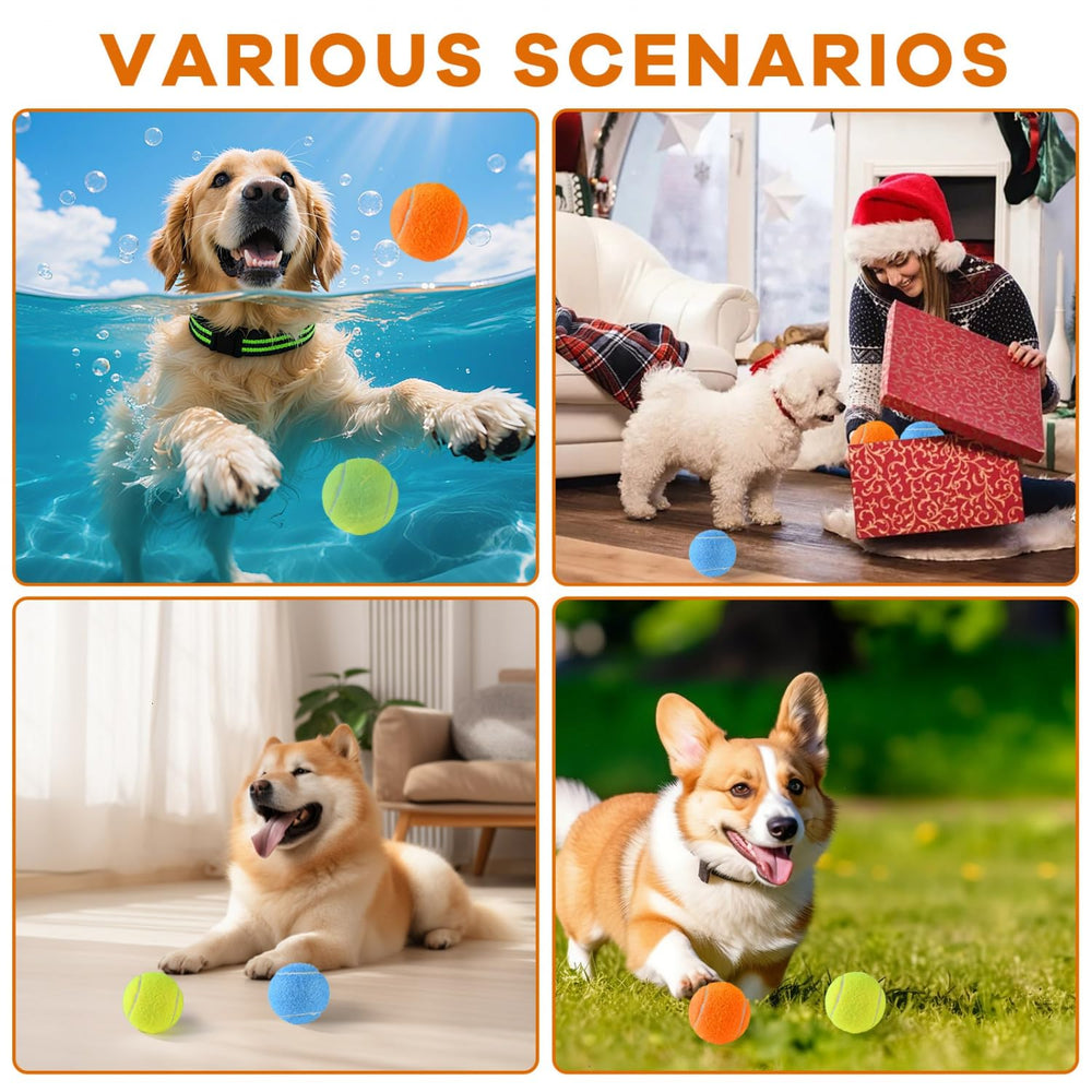 Gonioa multicolor pack boosts visibility during outdoor play