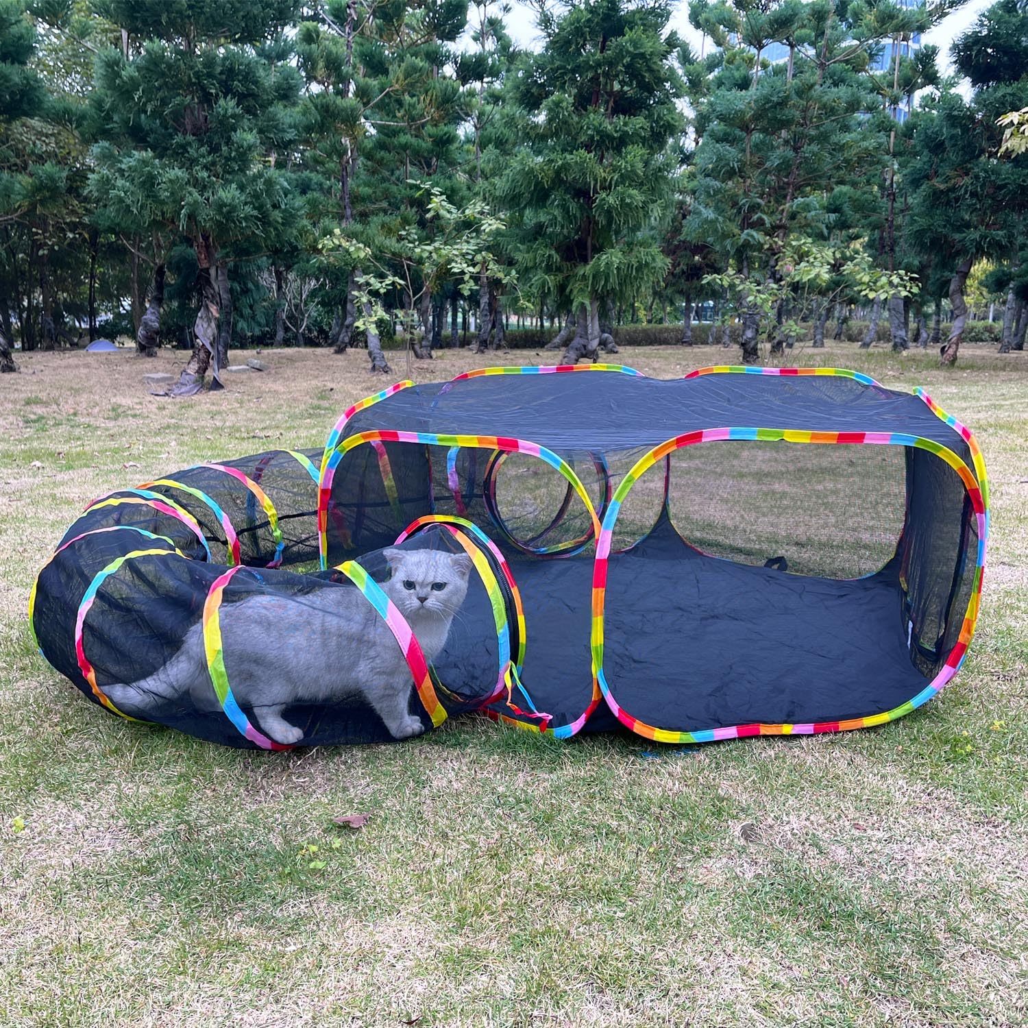 GONPETGP outdoor cat enclosure circle playpen offers a safe, sunlit play space.