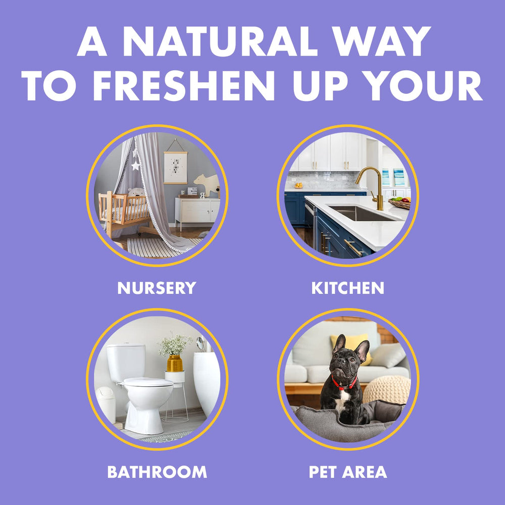Gonzo Odor Air Magnet Max closet gel refreshes fabrics and air.