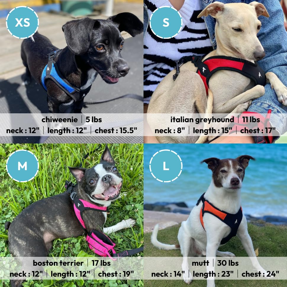 Gooby chest area measurement guide illustrates best fit for small dogs
