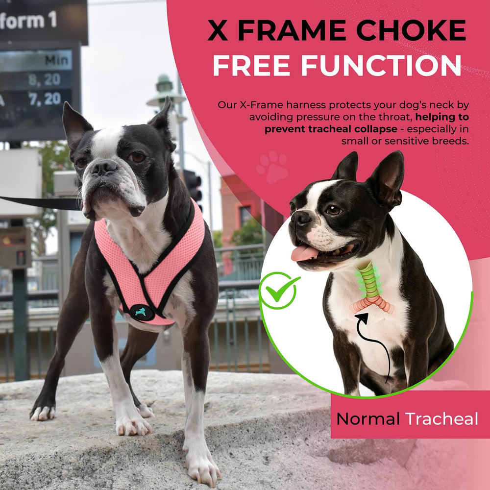 Gooby Comfort X Harness machine washable for quick care after outdoor use.