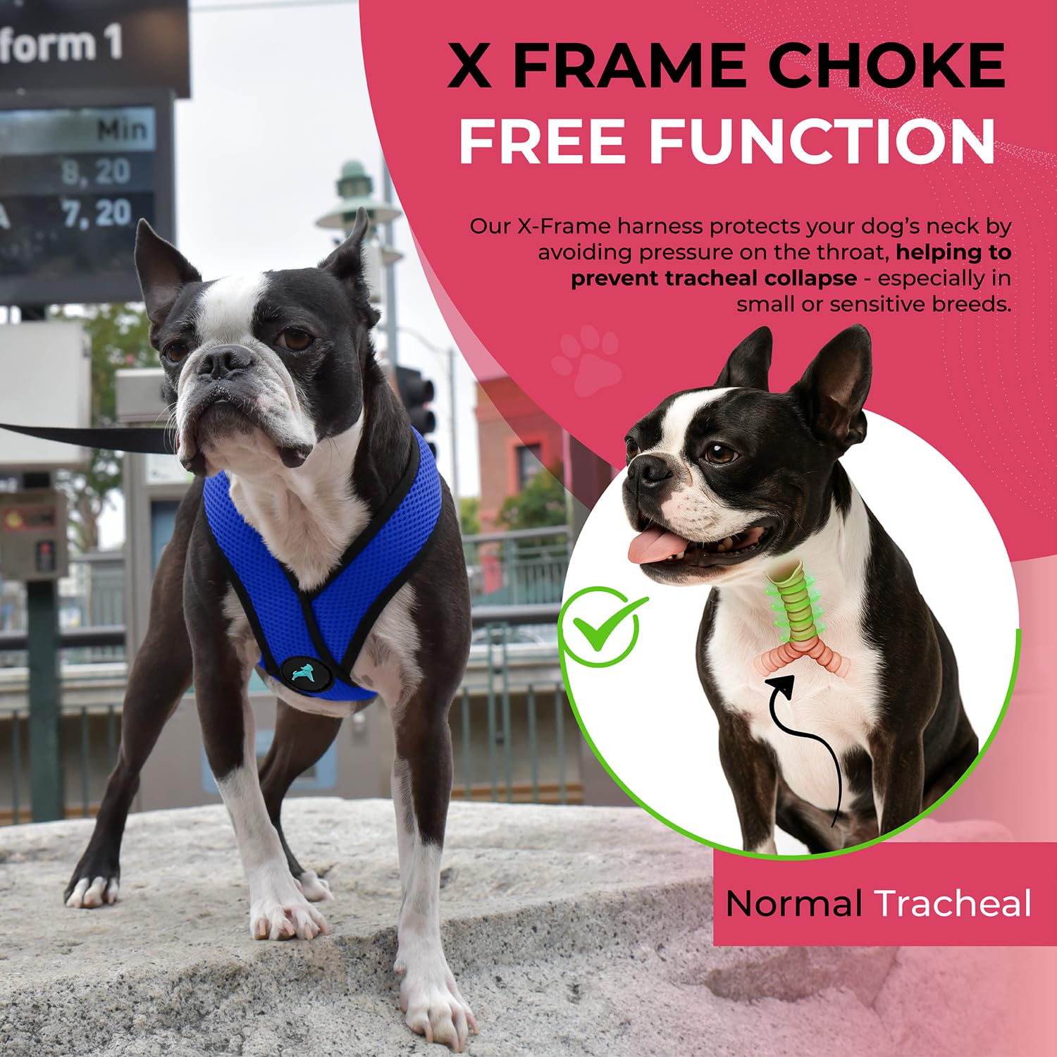 Gooby Comfort X Harness chest-size guide helps proper fitting.