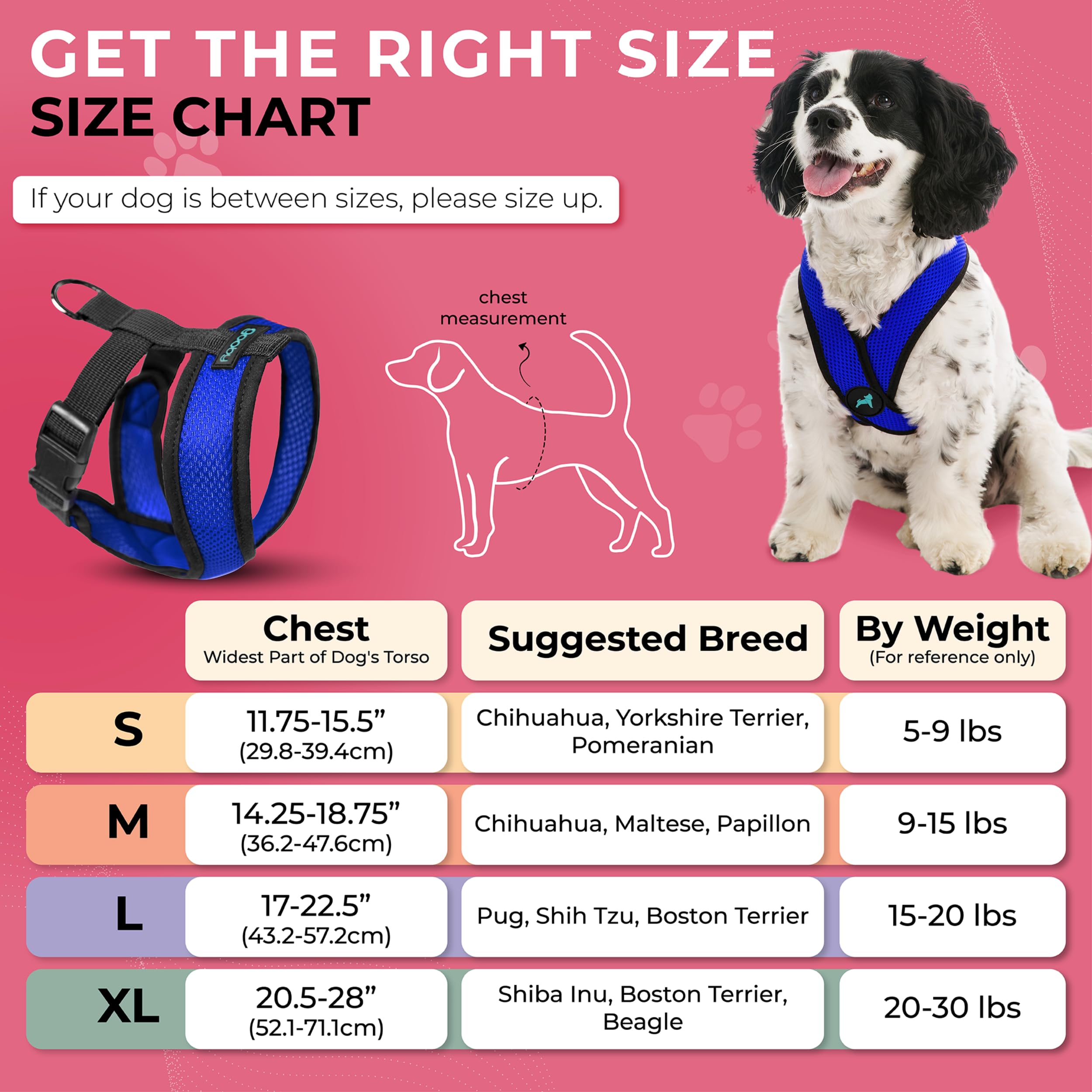 Gooby Comfort X Harness D-ring attachment for secure leash control during walks.