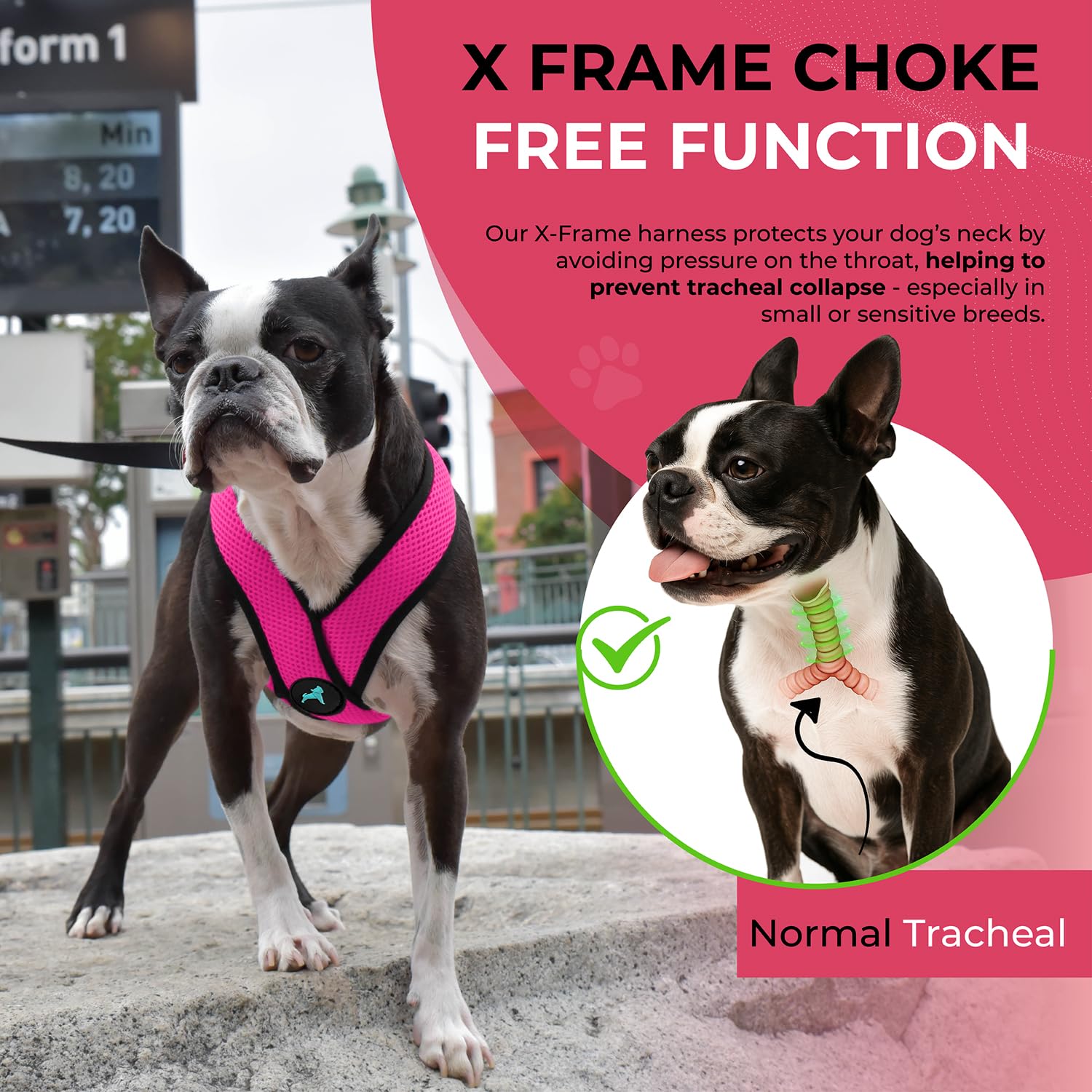 Gooby Comfort X Harness Flamingo Pink machine washable for easy cleanup.