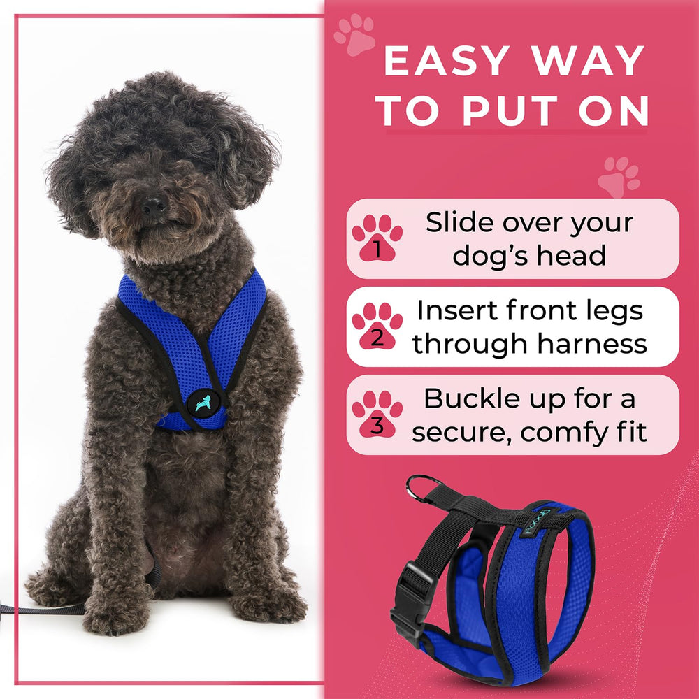 Gooby Comfort X Harness ready for indoor and outdoor adventures.