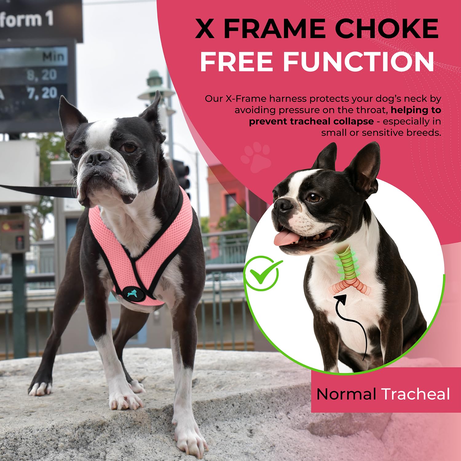 Gooby Comfort X Harness pink; patented choke-free X-frame enhances safety.