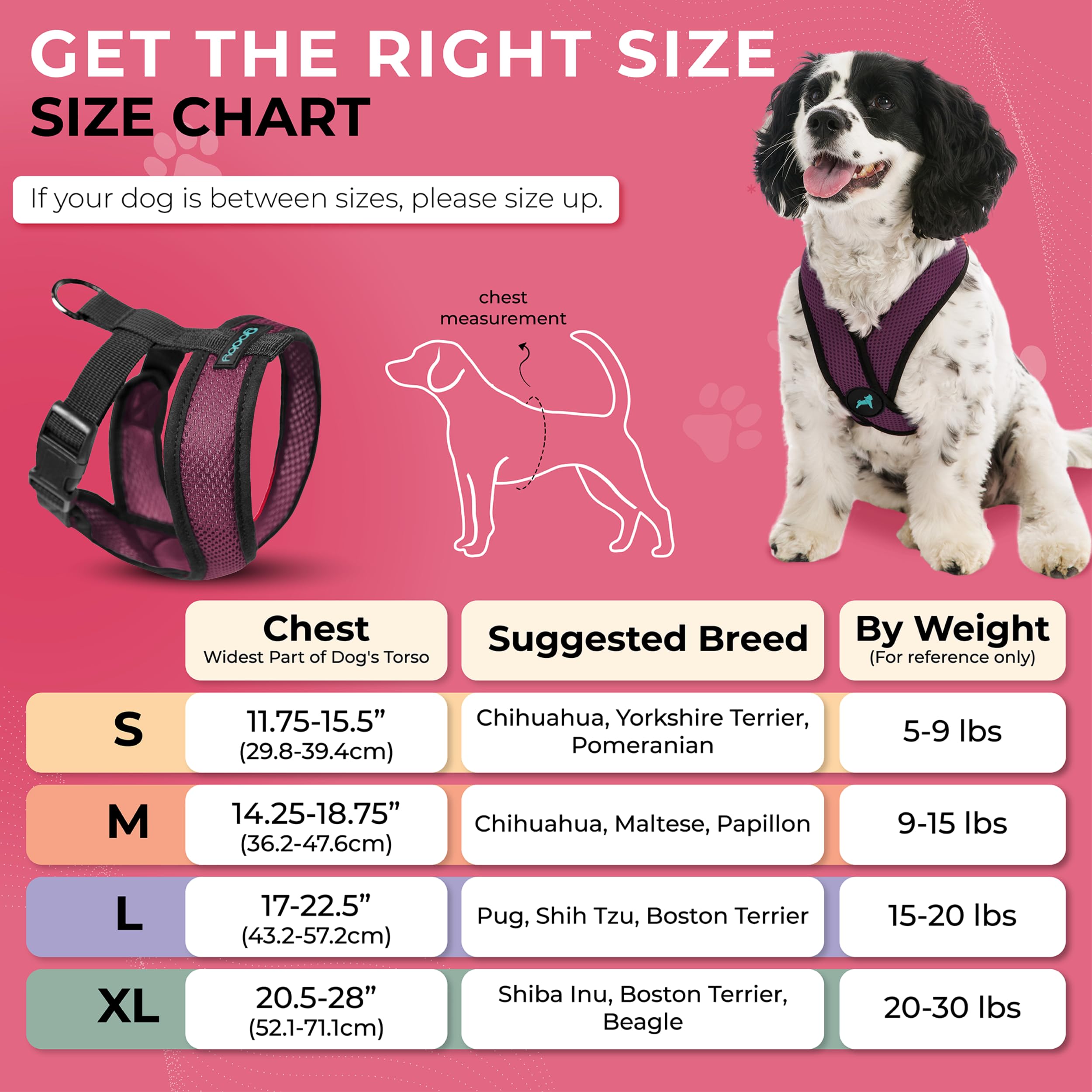 Gooby Comfort X Harness purple D-ring back-attachment for secure pulls.
