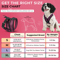 Gooby Comfort X Harness purple D-ring back-attachment for secure pulls.