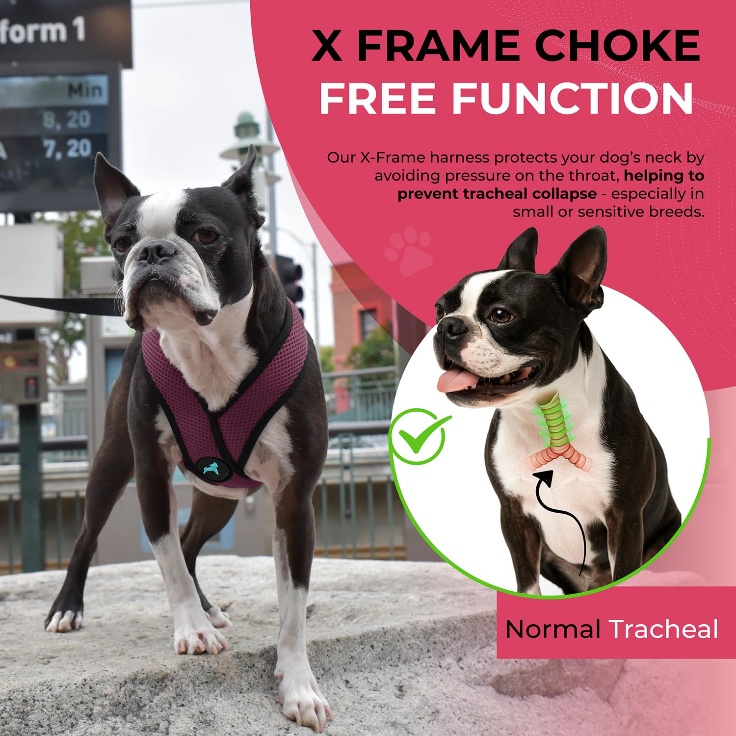 Gooby Comfort X Harness purple lightweight mesh promoting airflow.